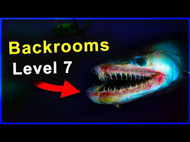 Level 7 Thalassophobia [Backrooms Wikidot] 