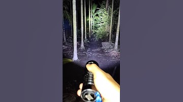 IBELL torch light/flashlight review