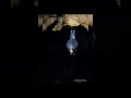 Sleeping #photoshop #tutorial #photography #video #reveladoraw #fotografia #shortvideo #adobe #natur