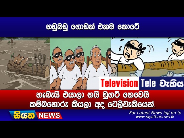 නඩුබඩු ගොඩක් එකම කොටේ, හැබැයි එයාලා නයි මුගටි නෙවෙයි කම්බහොරු කියලා අද ටෙලිවැකියෙන්.