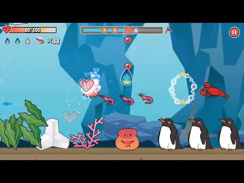 Aquatic Life Adventures