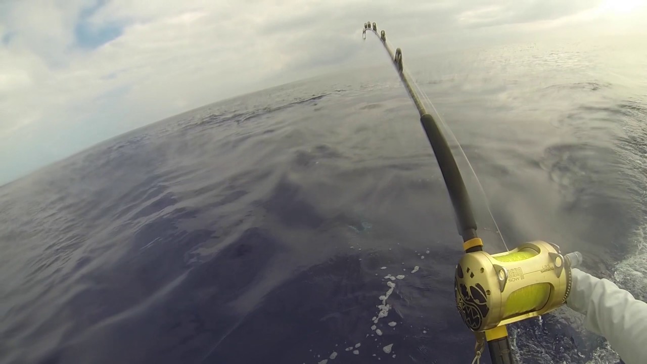 Hammah Time vol. 2 fishing video