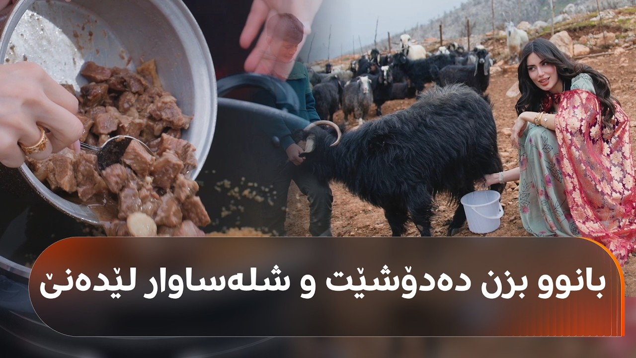 بانوو لە گوندی ئالانە.. بزن دەدۆشێت و شلەساوار لێدەنێت