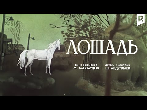 Лошадь (мультфильм)