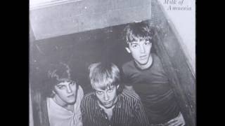 Einstein's Riceboys - Elevator Ride Profile