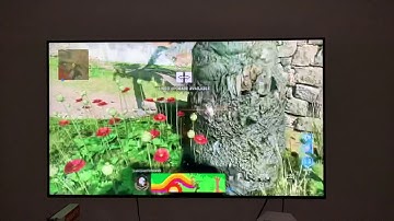 ANIYAH INCURSION OUT OF MAP GLITCH