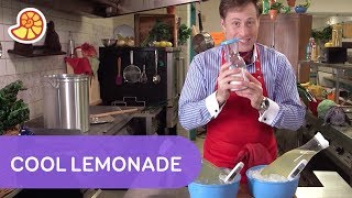 A Quick Life Hack to Enjoy a Cool Lemonade | Science Max screenshot 4