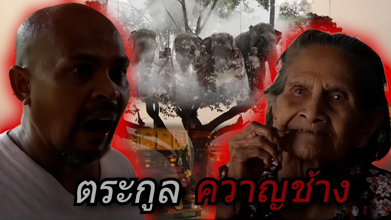 ควาญช้าง             #เรื่องเล่าชีวิตจริง#ความจริงใจ#กำลังใจ#เรื่องที่ไม่มีใครบอก