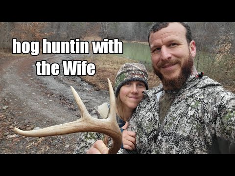 Tennessee Hog Hunting With My Wifey Bow Hunting Youtube