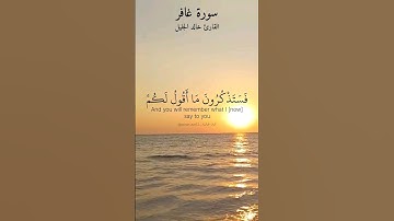 ماتيسر من سورة غافر بصوت رائع للقارئ خالد الجليل.
