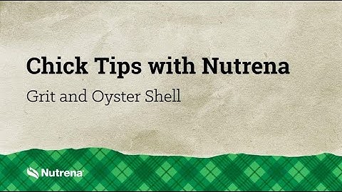 Chick Tips with Nutrena: Feeding Grit and Oyster Shell to Chickens