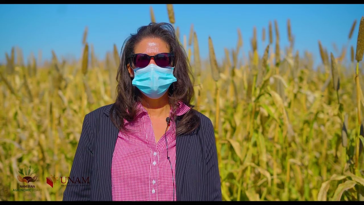 The Namibian Agronomic Board (NAB) (Unam Ogongo Campus Film 2)