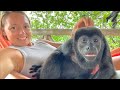 Rparation de voile et rencontre insolite avec un singe  sailing atypic s3  e85