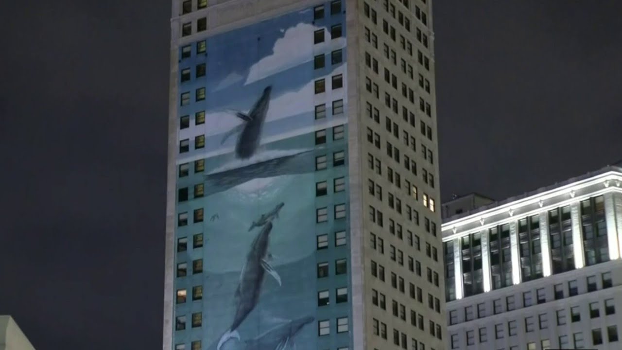 Whale-sized controversy in Detroit