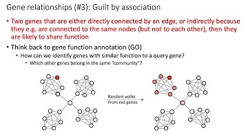 MCB 182 Lecture 11.8 - Modularity of gene networks, guilt by association principles