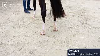 Twister