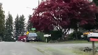 Breakfast with Dad  Up North Western Washington 10 25 25