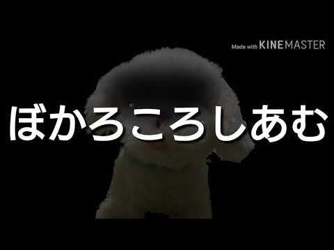 【ぬいぐるみpv】ぼかろころしあむ