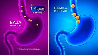 Enfagrou Comfort 2020