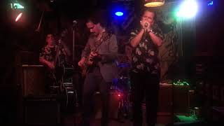 Knock-Out Greg at Stampen, August 2019  @frou z