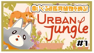 【Urban Jungle】ぬいぐるみは鑑賞植物を飾る！！【アーバンジャングル】