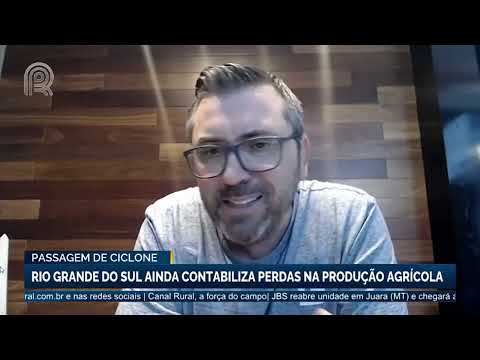 Passagem do Ciclone: Rio Grande do Sul ainda contabiliza perdas na produção agrícola | Canal Rural