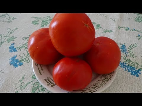 Video: Salad Tomat Berdarah-Mary
