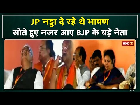 CG BJP Viral Video : JP Nadda के भाषण के दौरान सोते दिखे कौशिक। वहीं मोबाइल चलाते दिखीं पुरंदेश्वरी