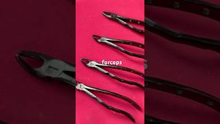 Maxillary extraction forceps explained #bds #dental #forceps #dentalforceps