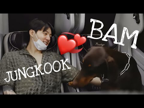 Jungkook ❤️ Bam (Jungkook köpeğine Türkçe konuştu dfdfg)