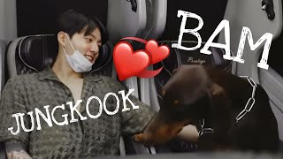 Jungkook Bam Jungkook Köpeğine Türkçe Konuştu Dfdfg