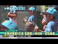 百萬募齊了！ 台中萬豐少棒隊 7月底赴美參賽@newsebc