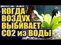 Когда Воздух выбивает СО2 из Воды. Углекислый Газ в Аквариуме