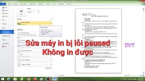 Máy in canon 2900 bị lỗi paused - Nguyên nhân và cách khắc phục hữu hiệu, thành công.