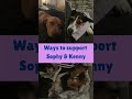 Ways to support 2 Bulgarian stray puppies - Sophy and Kenny💜💙#support #healingjourney #fighter