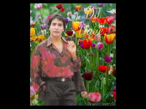 DJ Dave - ingin bersua