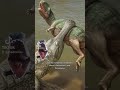 What was the Largest Crocodilian?