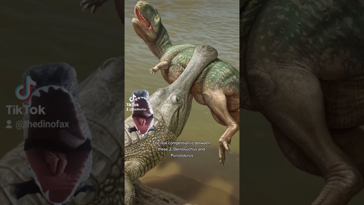 What Was The Largest Crocodilian 