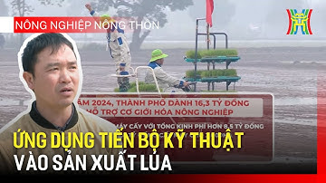 Ứng dụng tiến bộ kỹ thuật vào sản xuất lúa | Nông nghiệp nông thôn