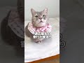 ココっチャリティに関するご報告です