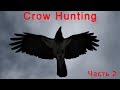 Crow Hunting новый сезон часть 2