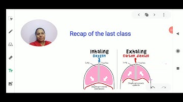 Class VII Science 27.05.2020 by Ms Bhanupriya