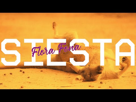 Flora Fona - Siesta (visualizer)