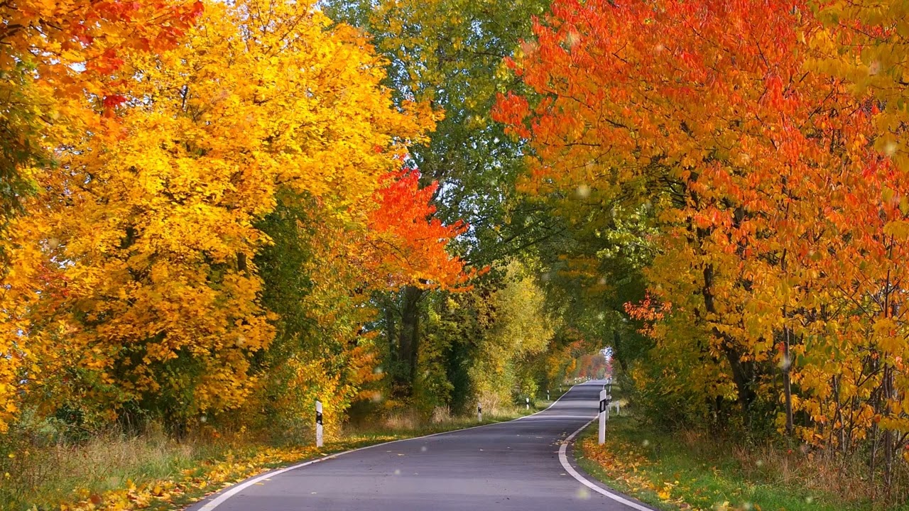 10-hours-of-relaxing-music-sleep-music-piano-music-for-stress-relief