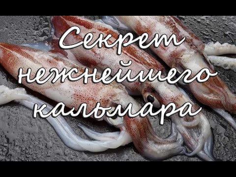 Video: Кальмар менен тез палоо кантип бышырылат