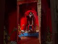 Garia Shoshan Kali Maakali Kalipujo 2025 Shoshan Ghat Youtube Shorts