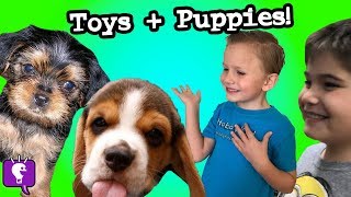 adorable puppies fun toy store animal found in yard hobbykidstv