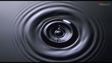 Manu Prakash and the Fabulous World of Fluids