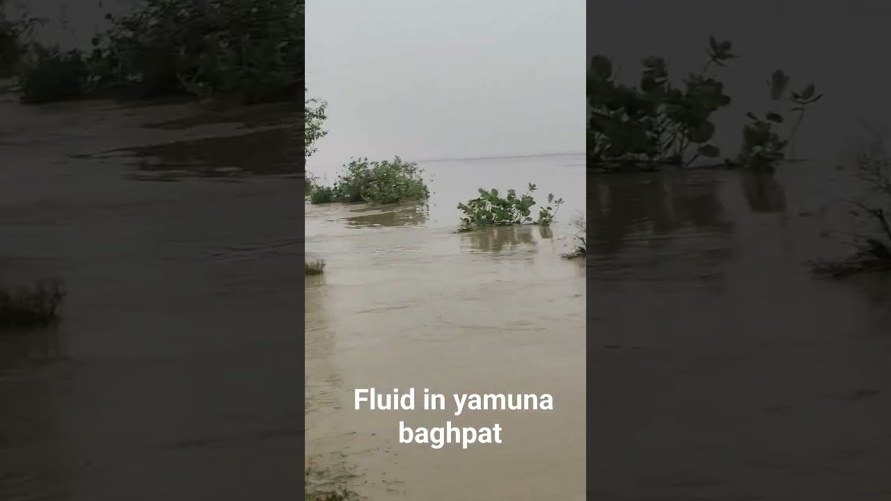 yamuna flood in baghpat 