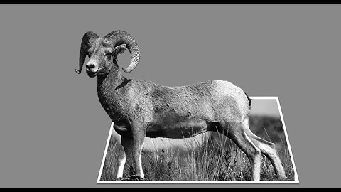 3D Pop-Out Photo Effect | PowerPoint 2016 Tutorial